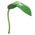 Standard appearance; Neon/Mega appearance is not shown Banana Leaf Balloon — standard appearance