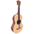 Camper's Guitar — standard appearance