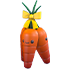 Carrot Bushel — standard appearance