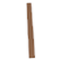 Chocolate Twist — standard appearance