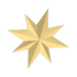 Standard appearance; Neon/Mega appearance is not shown Christmas Star Flying Disc — standard appearance