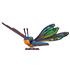 Clubtail Dragonfly — standard appearance