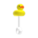 Duck Rattle — standard appearance
