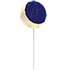 Eclipse Balloon — standard appearance