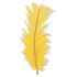 Feather — standard appearance