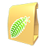 Fern Seeds — standard appearance