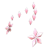 Flower Aura — standard appearance