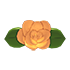 Flower Lapel — standard appearance