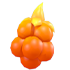 Sparkling Blaze Berry — standard appearance