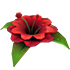 Forgotten Flower — standard appearance