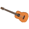 Guitar — standard appearance