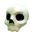 Halloween White Skull Hat — standard appearance
