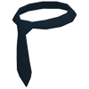 Head Tie — standard appearance