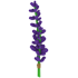 Lavender Bundle — standard appearance