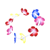 Lei — standard appearance