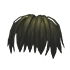 Long Bangs — standard appearance