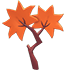 Maple Leaf Treat — standard appearance
