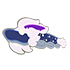 Midnight Dragon Kite — standard appearance