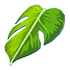 Monstera Leaf Cape — standard appearance