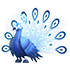 Moonbeam Peacock — standard appearance