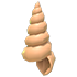 Musical Conch — standard appearance