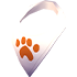 Neckerchief — standard appearance