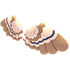 Owl Wings — standard appearance