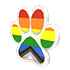 Pride Paw Flying Disc — standard appearance