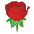 Rose Flower — standard appearance
