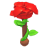 Rose Rattle — standard appearance