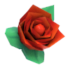Rose — standard appearance