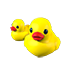 Rubber Ducks — standard appearance