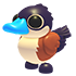 Ruddy Duck — standard appearance