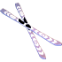 Skis — standard appearance