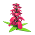 Snapdragon Flower — standard appearance
