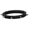 Spike Collar — standard appearance