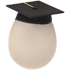 Starter Egg — standard appearance