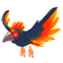 Storm Condor — standard appearance
