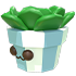 Succulent Plush — standard appearance