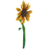 Sunflower Rattle — standard appearance