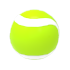 Tennis Ball — standard appearance