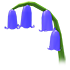 Bluebell Flower — standard appearance