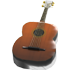 Guitar — standard appearance