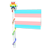 Transgender Flag 2023 — standard appearance