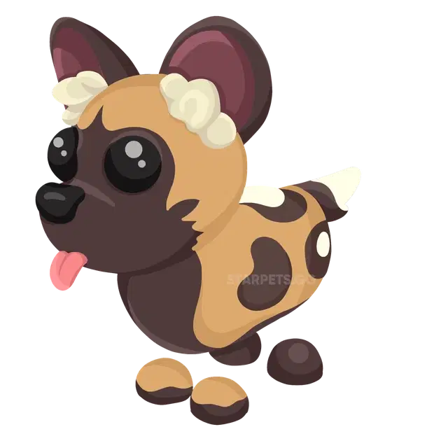 African Wild Dog — standard appearance