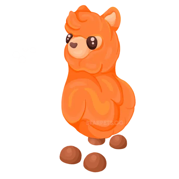 Alpaca — standard appearance