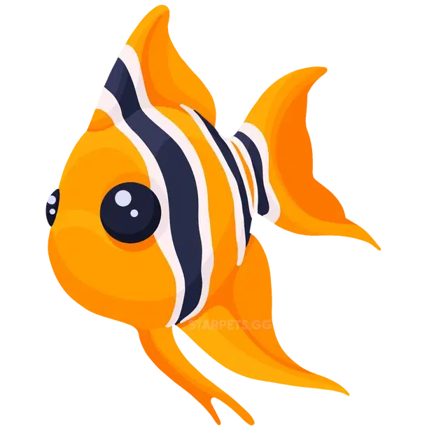 Angelfish — standard appearance