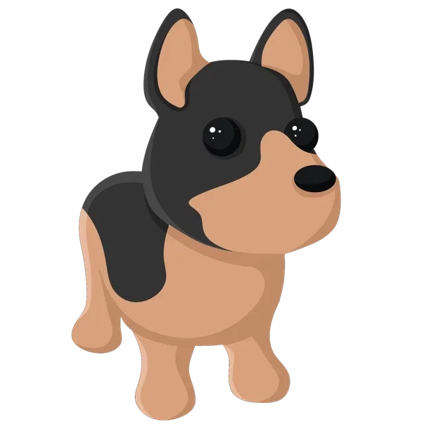 Australian Kelpie — standard appearance