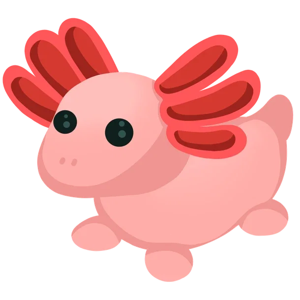 Axolotl — standard appearance