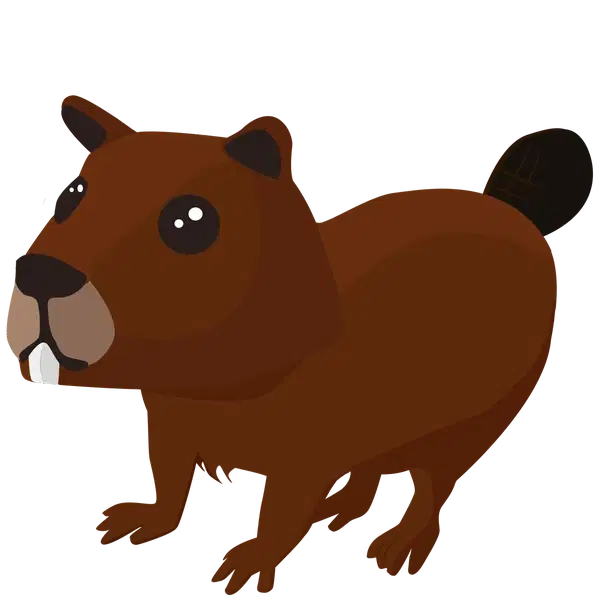 Beaver — standard appearance